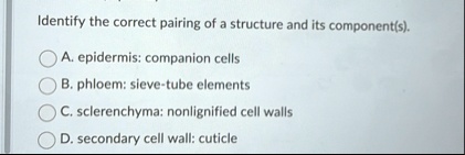 identify the correct pairing of a structure and its components a ...