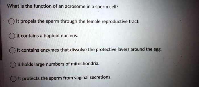 What is the function of an acrosome in a sperm cell? It propels the ...