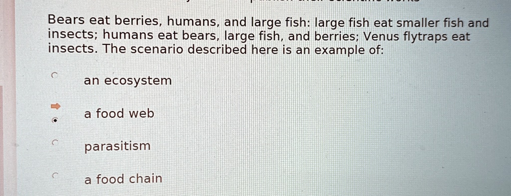 Bears eat berries, humans, and large fish: large fish eat smaller fish and insects; humans eat bears, large fish, and berries; Venus flytraps eat insects. The scenario described here is an example of:
an ecosystem
a food web
parasitism
a food chain
