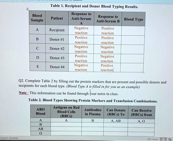 solved-table-l-recipient-and-donor-blood-typing-results-blood