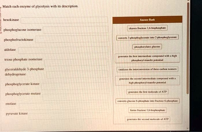 SOLVED: Texts: Match each enzyme of glycolysis with its description