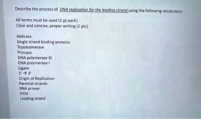 Describe the process of DNA replication for the leading strand using the following vocabulary:

All terms must be used (1 pt each)
Clear and concise, proper writing (2 pts)

Helicase
Single strand binding proteins
Topoisomerase
Primase
DNA polymerase III
DNA polymerase I
Ligase
5' ? 3'
Origin of Replication
Parental strands
RNA primer
3'OH
Leading strand