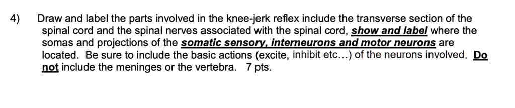 SOLVED: 4) Draw and label the parts involved in the knee-jerk reflex ...