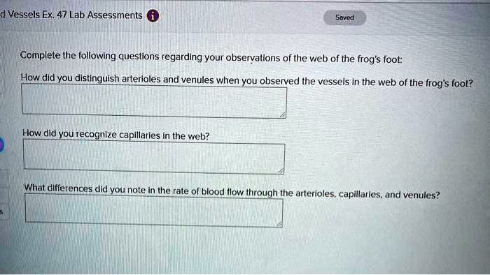 Complete the following questions regarding your observations of the web of the frog's foot:
How did you distinguish arterioles and venules when you observed the vessels in the web of the frog's foot?
How did you recognize capillaries in the web?
What differences did you note in the rate of blood flow through the arterioles, capillaries, and venules?
