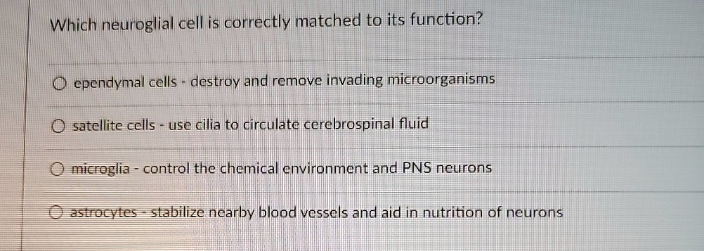 Which neuroglial cell is correctly matched to its function? ? ependymal