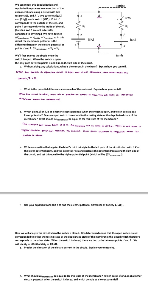 please answer part e through h thank you we can model this depolarization and repolarization process in one section of the axon membrane using a circuit with two resistors and r2 two batter 65926