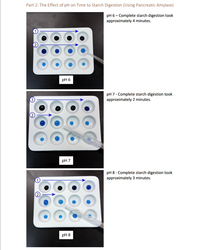 SOLVED: What is the optimal pH for starch digestion by amylase? What ...