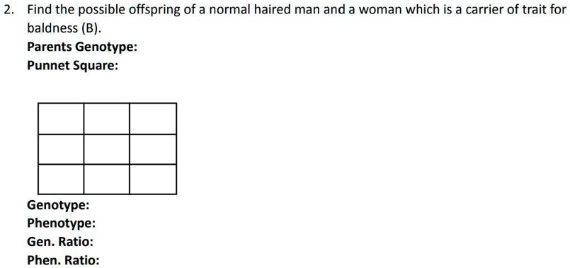 Solved Answer The Following Problems Completely Using The Punnet Solved Answer The Following Problems Completely Using The Punnet