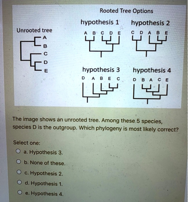 hypothesis on trees