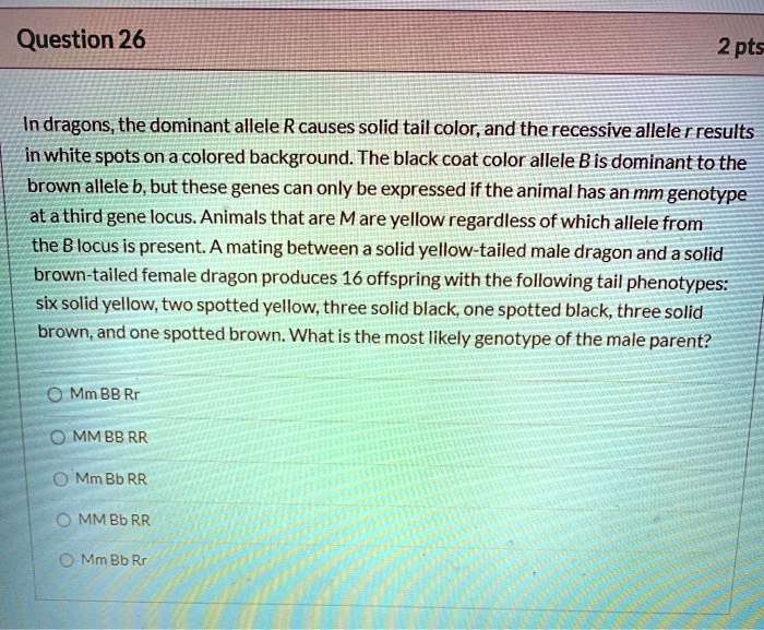 In dragons, the dominant allele R causes solid tail color, and the recessive allele r results in white spots on a colored background. The black coat color allele B is dominant to the brown allele b, but these genes can only be expressed if the animal has an mm genotype at a third gene locus. Animals that are M are yellow regardless of which allele from the B locus is present. A mating between a solid yellow-tailed male dragon and a solid brown-tailed female dragon produces 16 offspring with the following tail phenotypes: six solid yellow, two spotted yellow, three solid black, one spotted black, three solid brown, and one spotted brown. What is the most likely genotype of the male parent?
Mm BB Rr
MM BB RR
Mm Bb RR
MM Bb RR
Mm Bb Rr