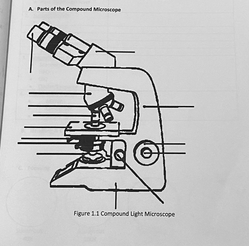 14 parts of a compound light microscope