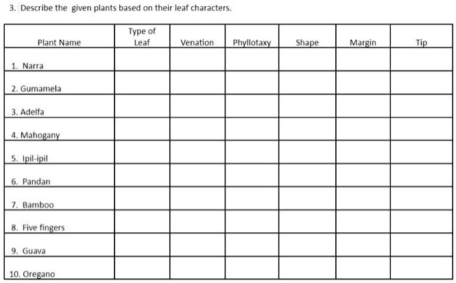 3. Describe the given plants based on their leaf characters. Plant Name ...