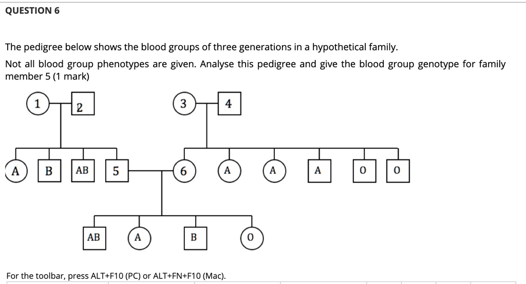 SOLVED: QUESTION 6 The Pedigree Below Shows The Blood Groups Of Three ...