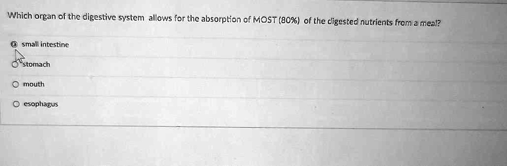 Which organ of the digestive system allows for the absorption of MOST (80%) of the digested nutrients from a meal?
small intestine
stomach
mouth
esophagus