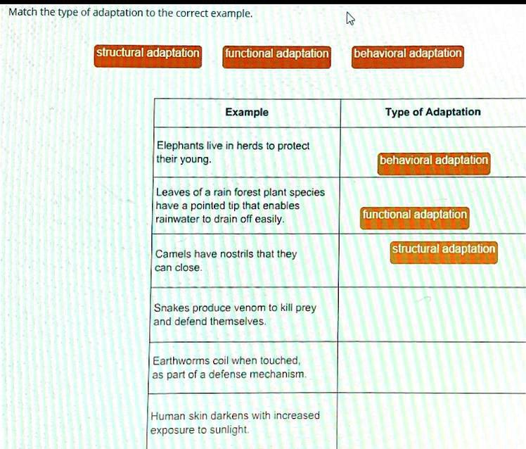 SOLVED: Match the type of adaptation to the correct example: Match the