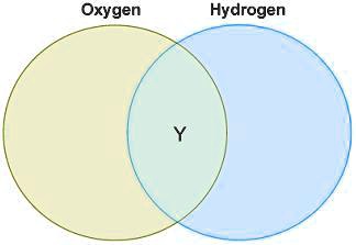 SOLVED: 'Carla drew a diagram to compare the roles of oxygen and