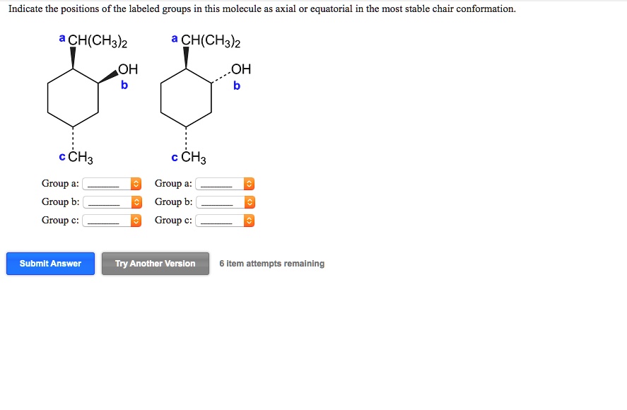 Indicate The Positions Of The Labeled Groups In This Molecule As Axial ...