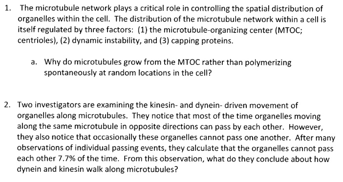 1. The microtubule network plays a critical role in controlling the spatial distribution of organelles within the cell. The distribution of the microtubule network within a cell is itself regulated by three factors: (1) the microtubule-organizing center (MTOC; centrioles), (2) dynamic instability, and (3) capping proteins.

a. Why do microtubules grow from the MTOC rather than polymerizing spontaneously at random locations in the cell?

2. Two investigators are examining the kinesin- and dynein- driven movement of organelles along microtubules. They notice that most of the time organelles moving along the same microtubule in opposite directions can pass by each other. However, they also notice that occasionally these organelles cannot pass one another. After many observations of individual passing events, they calculate that the organelles cannot pass each other 7.7% of the time. From this observation, what do they conclude about how dynein and kinesin walk along microtubules?