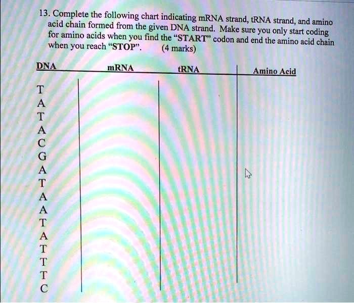 SOLVED the following chart indicating mRNA strand,tRNA
