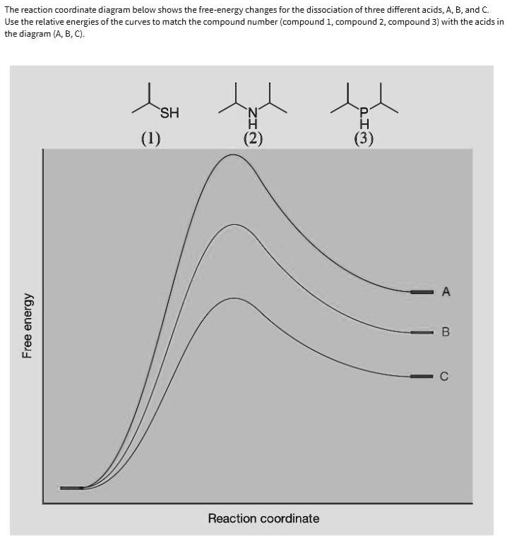 solved-match-the-compound-number-with-the-acids-in-the-diagram-the