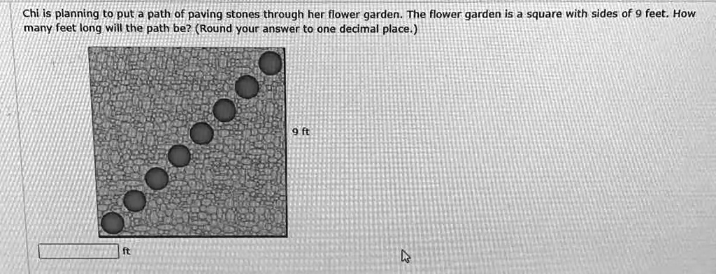 Gorgeous Chi Is Planning To Put A Path Of Paving Stones Photo for Mobile Gorgeous Chi Is Planning To Put A Path Of Paving Stones Photo for Mobile