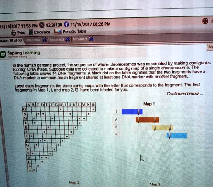 In the human genome project, the sequence of whole...
