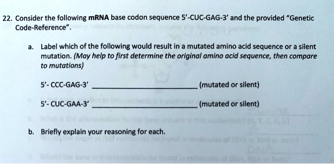 SOLVED: Consider the following mRNA base codon sequence 5'-CUC-GAG-3 ...
