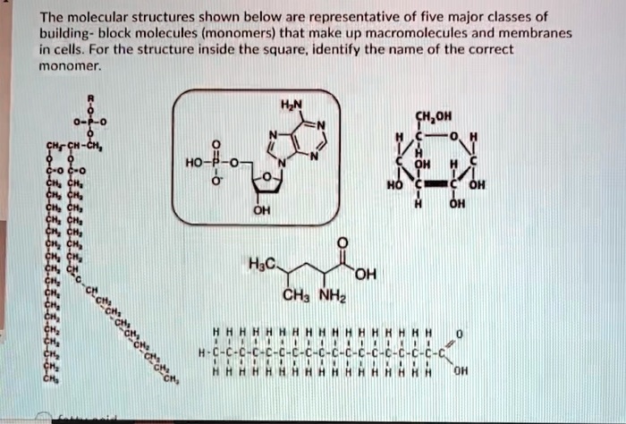 the-molecular-structures-shown-below-are-representative-of-five-major