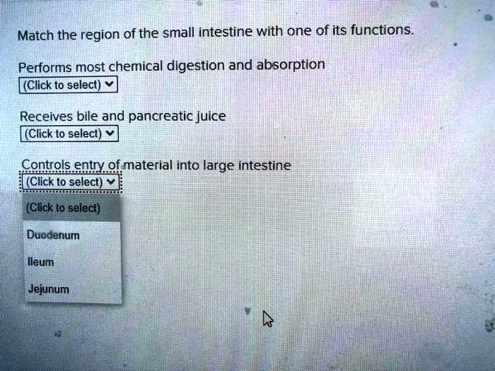 Match the region of the small intestine with one of its functions