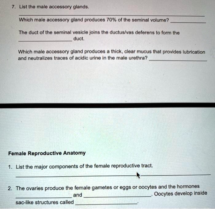 SOLVED List the male accessory glands. Which male accessory gland