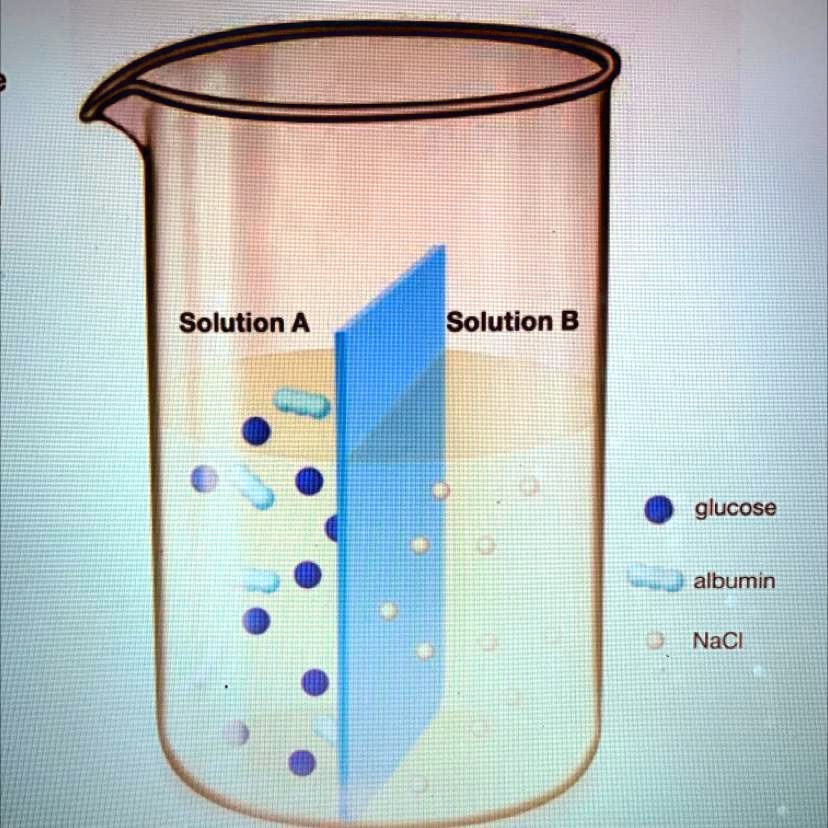 SOLVED 'Consider two solutions separated by a semipermeable membrane