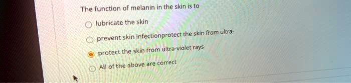 The function of melanin in the skin is to

lubricate the skin

prevent skin infection

protect the skin from ultra-violet rays

All of the above are correct