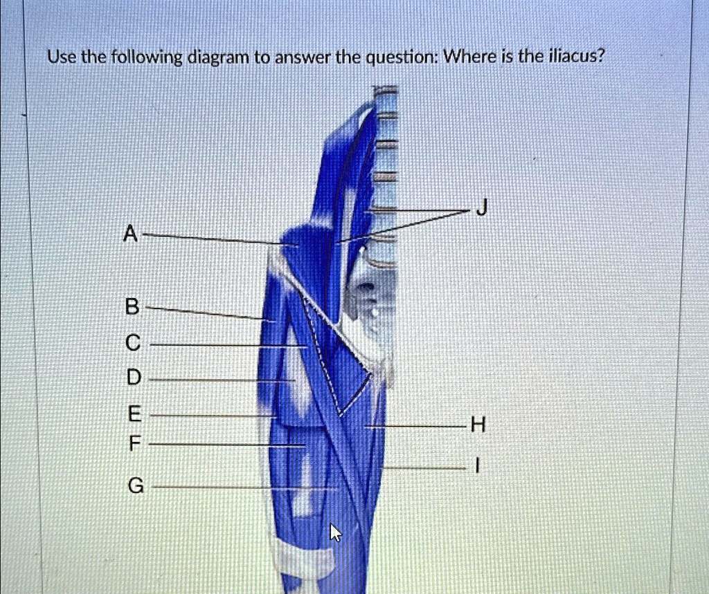 Solved Use The Following Diagram To Answer The Question Where Is The