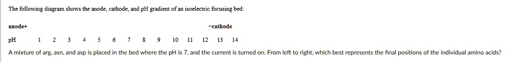 SOLVED: The following diagram shows the anode, cathode; and pH gradient ...