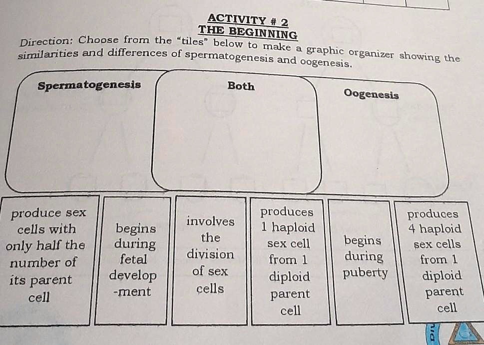 Solved Activity 2 The Beginning Directions Choose From The Tiles Below To Make