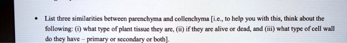 List three similarities between parenchyma and collenchyma [i.e., to help you with this, think about the following: (i) what type of plant tissue they are, (ii) if they are alive or dead, and (iii) what type of cell wall do they have – primary or secondary or both].