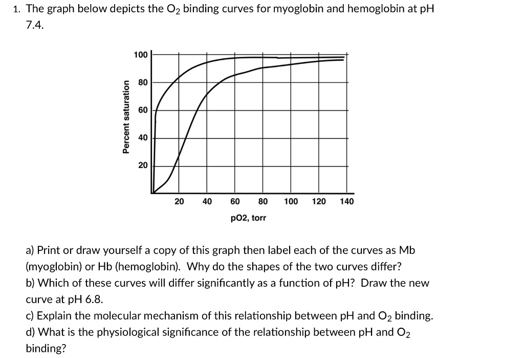 SOLVED: The graph below depicts the 02 binding curves for myoglobin and  hemoglobin at pH 7.44. 100 80 1 60 L 40 20 20 40 60 80 100 120 140 pO2, torr
