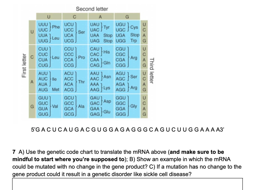 SOLVED protein sequence, what type of mutation is it? D) Identify the