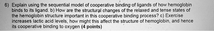 Solved 6 Explain Using The Sequential Model Of Cooperative Binding Of Ligands Of How