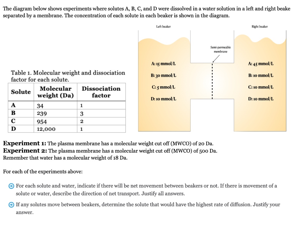 The Diagram Below Shows Experiments Where Solutes 4b Cand D Were ...