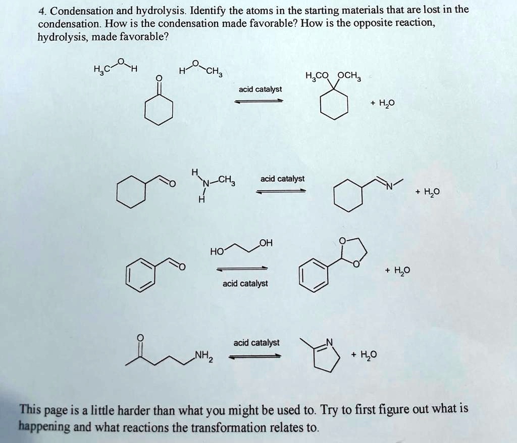 SOLVED 4. Condensation and hydrolysis. Identify the atoms in the starting materials that are
