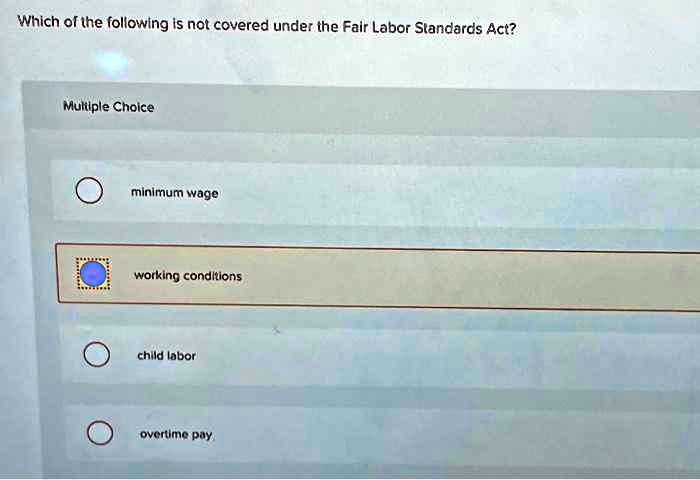 Minimum Coverage Fair SOLVED: Which of the following is not covered under the Fair Labor ...