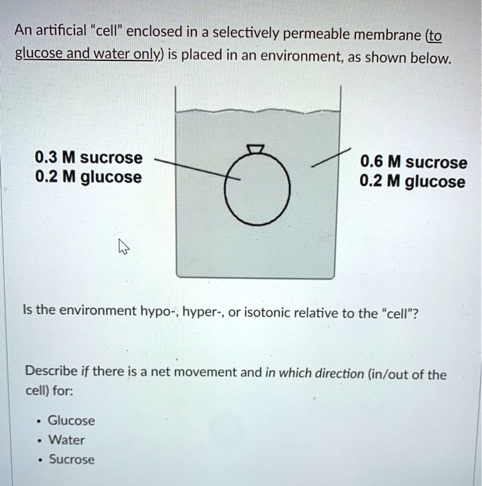 SOLVED An artificial "cell" enclosed in a selectively permeable