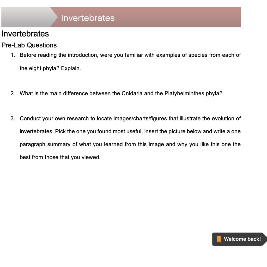 Invertebrates
Invertebrates
Pre-Lab Questions
1. Before reading the introduction, were you familiar with examples of species from each of
the eight phyla? Explain.
2. What is the main difference between the Cnidaria and the Platyhelminthes phyla?
3. Conduct your own research to locate images/charts/figures that illustrate the evolution of
invertebrates. Pick the one you found most useful, insert the picture below and write a one
paragraph summary of what you learned from this image and why you like this one the
best from those that you viewed.
