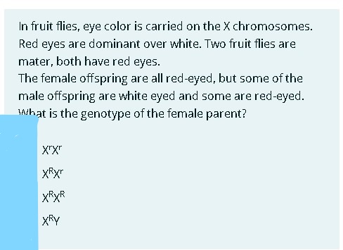 In fruit flies, eye color is carried on the X chromosomes. Red eyes are dominant over white. Two fruit flies are mated, both have red eyes. The female offspring are all red-eyed, but some of the male offspring are white eyed and some are red-eyed. What is the genotype of the female parent?

XrXr
XRXr
XRXR
XRY