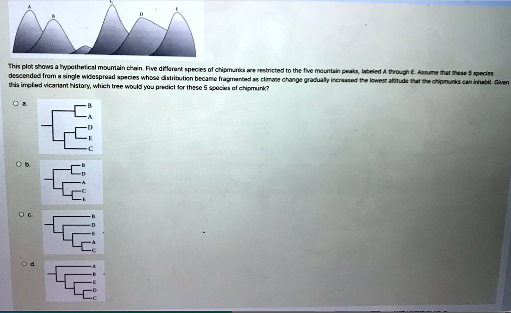 SOLVED: This plot shows a hypothetical mountain chain. Five different ...