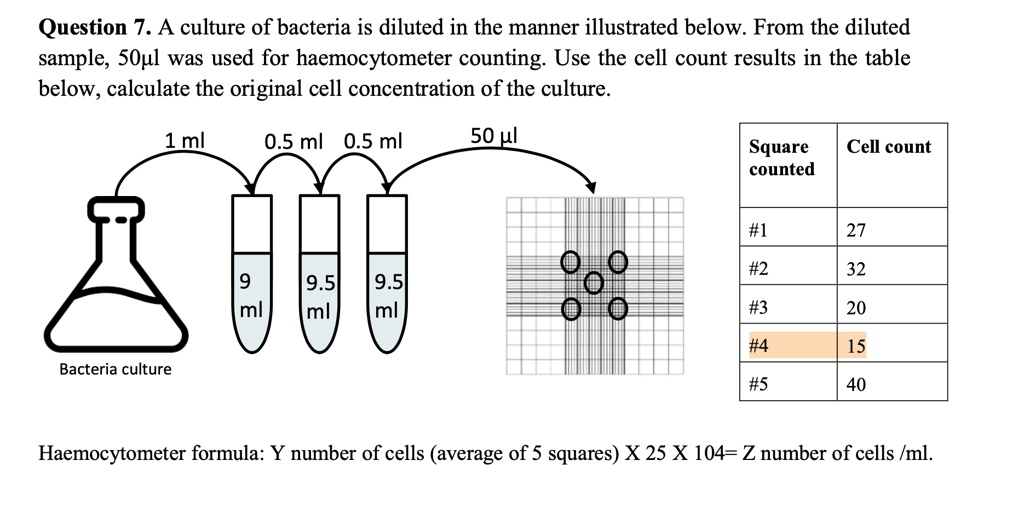 SOLVED Question 7 A Culture Of Bacteria Is Diluted In The Manner solved-question-7-a-culture-of-bacteria-is-diluted-in-the-manner