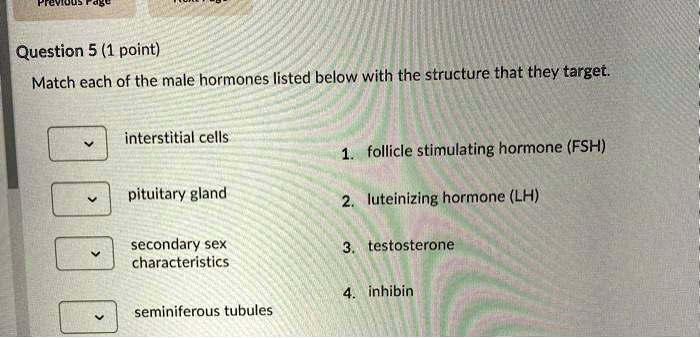 Match each of the male hormones listed below with the structure that they target.

interstitial cells
1. follicle stimulating hormone (FSH)
pituitary gland
2. luteinizing hormone (LH)
secondary sex characteristics
3. testosterone
seminiferous tubules
4. inhibin