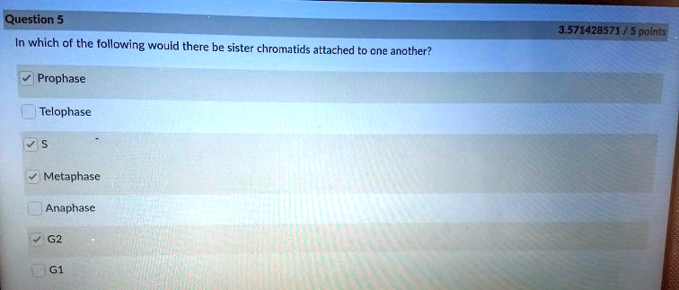 Question 5
In which of the following would there be sister chromatids attached to one another?
Prophase
Telophase
S
Metaphase
Anaphase
G2
G1