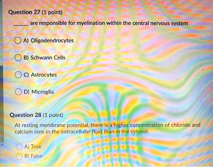 are responsible for myelination within the central nervous system

A) Oligodendrocytes
B) Schwann Cells
C) Astrocytes
D) Microglia

At resting membrane potential, there is a higher concentration of chloride and calcium ions in the extracellular fluid than in the cytosol.

A) True
B) False